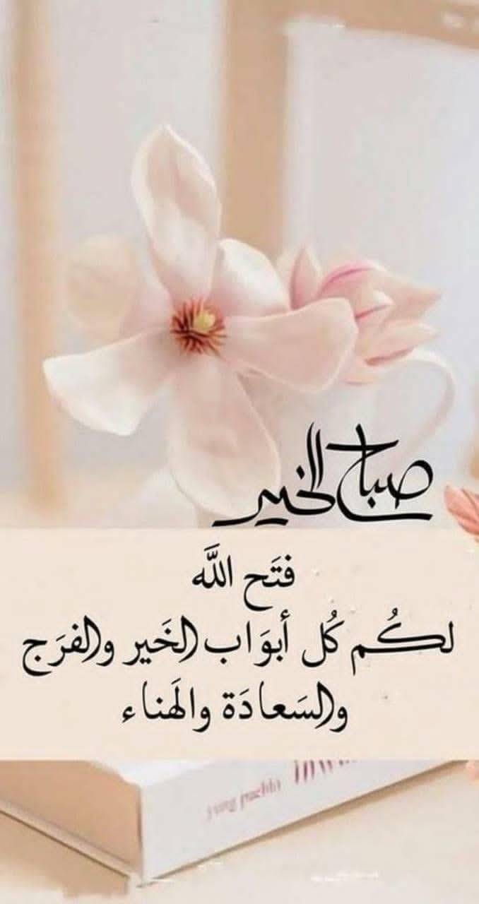 مبرمج