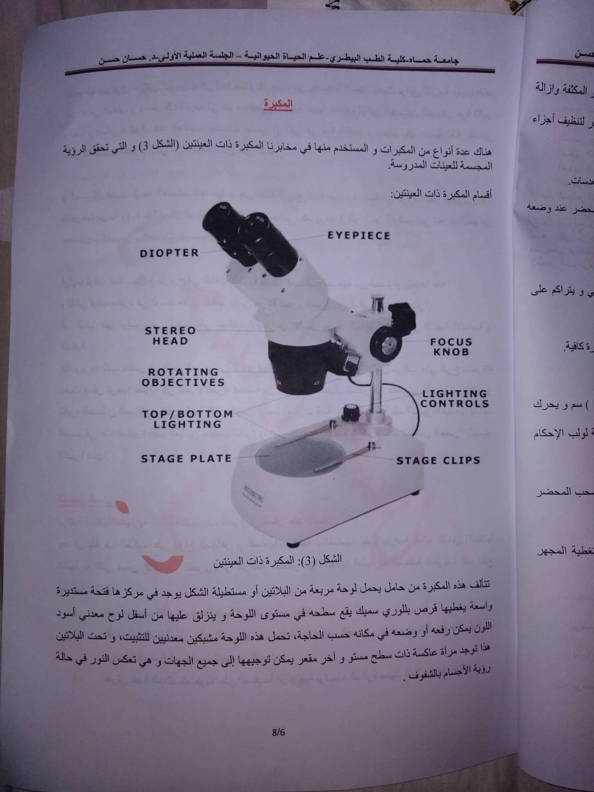 انسه علوم