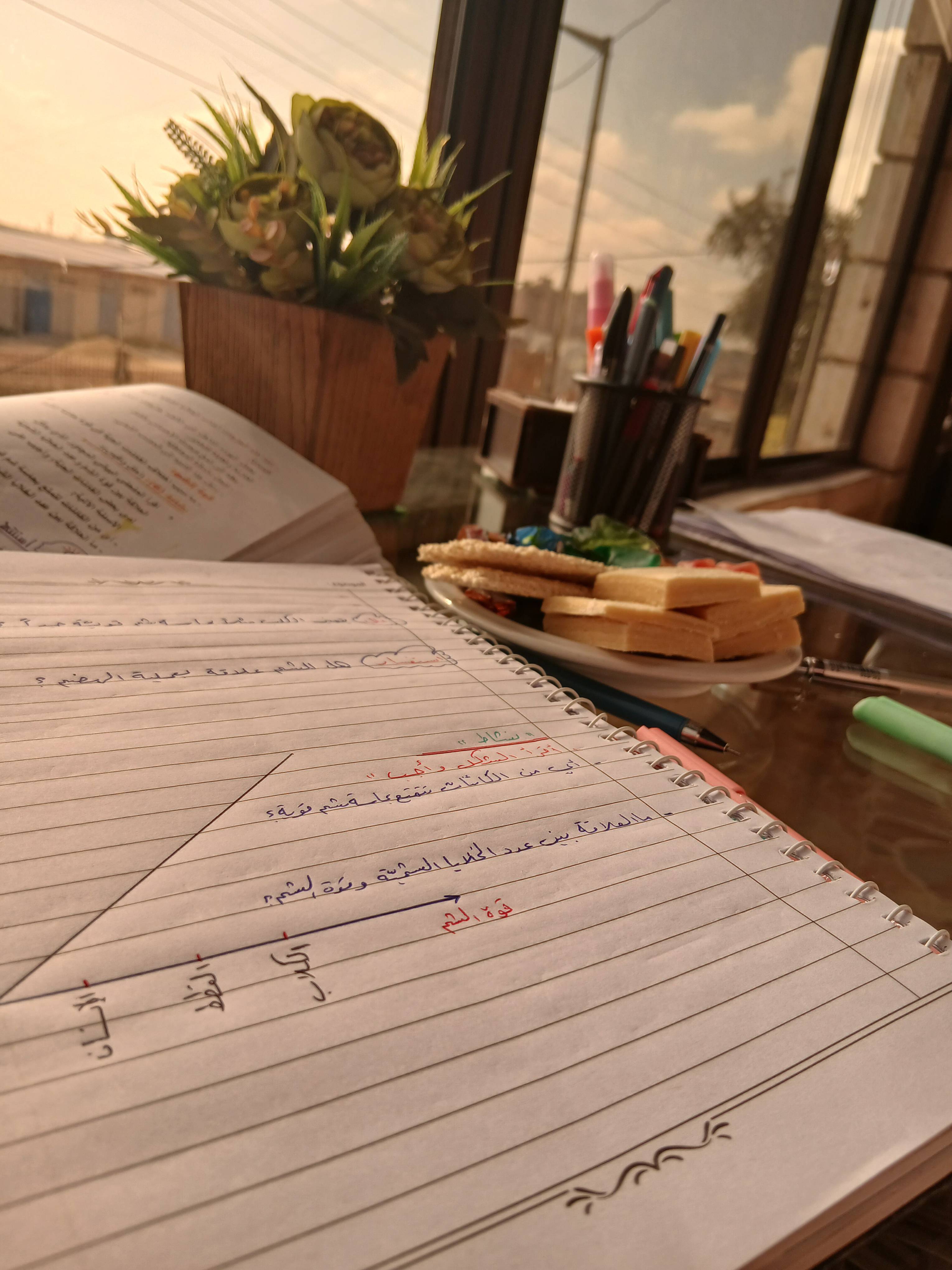 مدرسة للمراحل الابتدائية والاعدادية