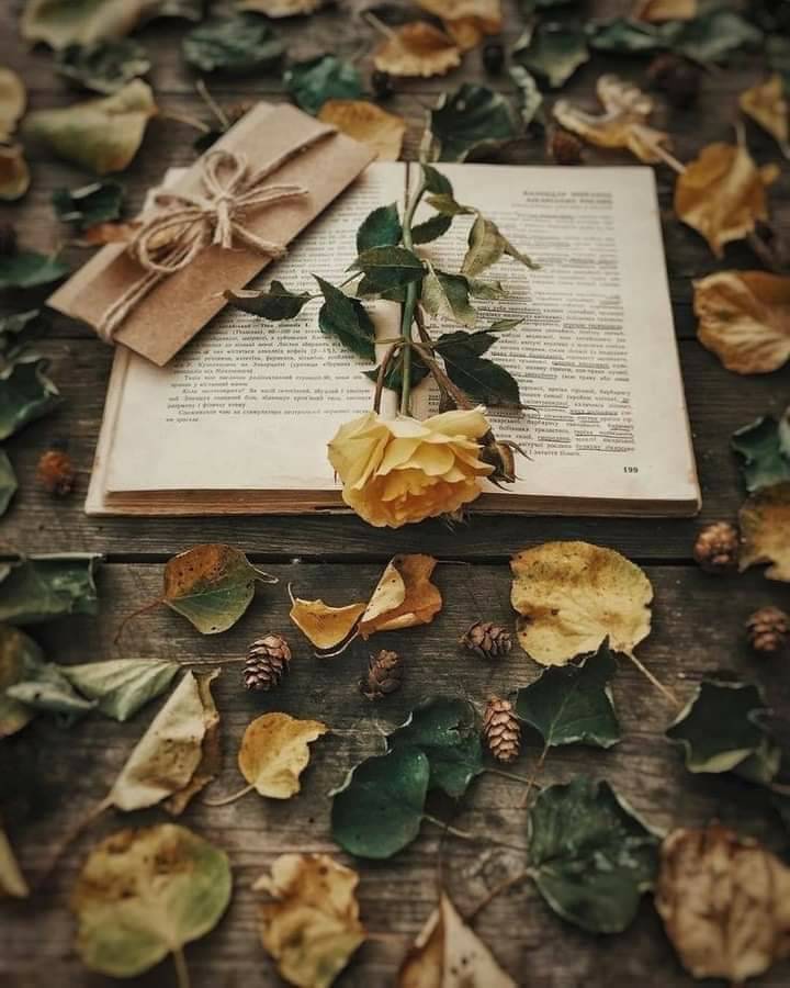 كاتب محتوى إبداعي ومصمم Canva محترف - جاهز للعمل عن بعد!
