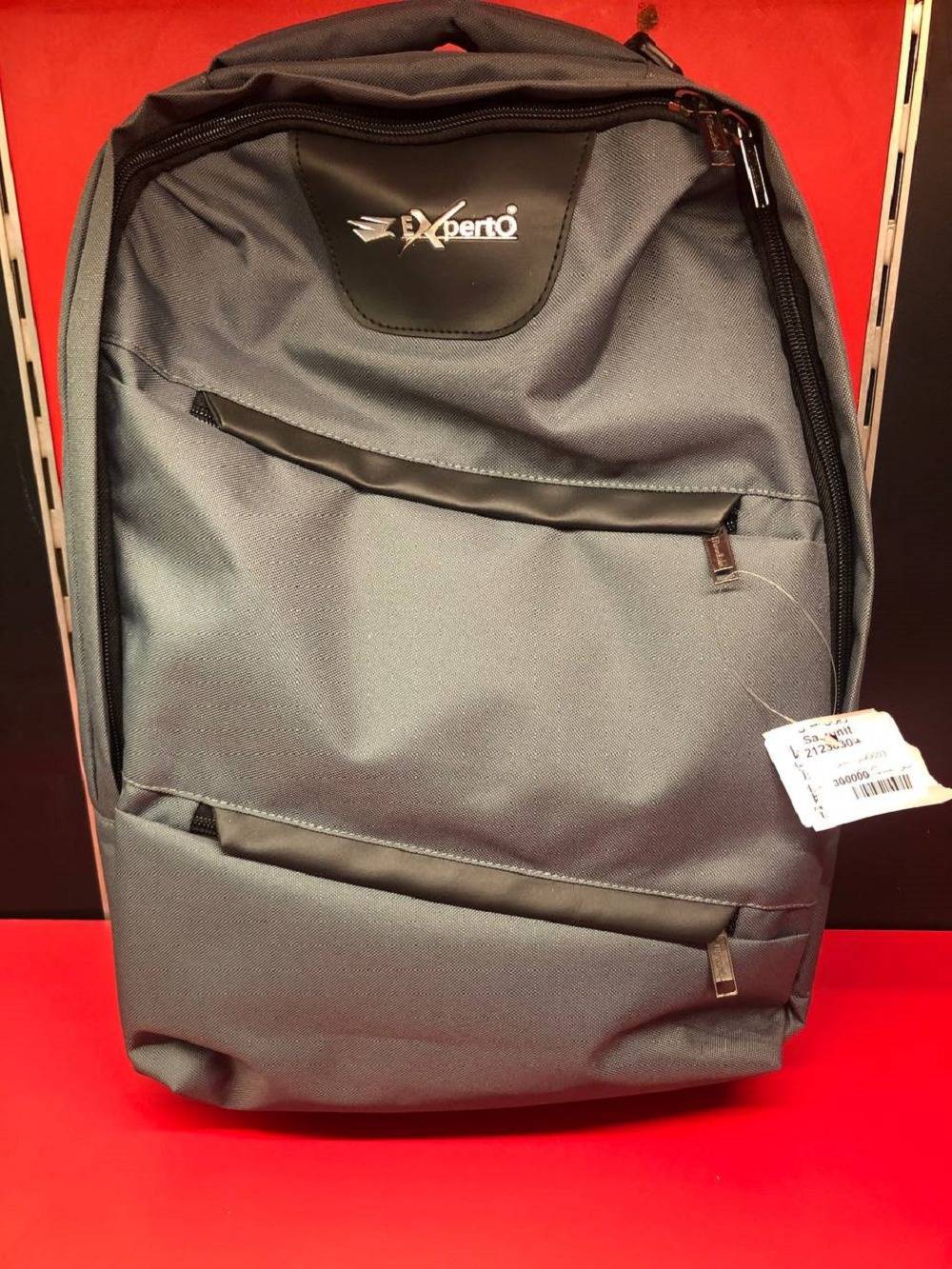 Experto 6603 Laptop Backpack