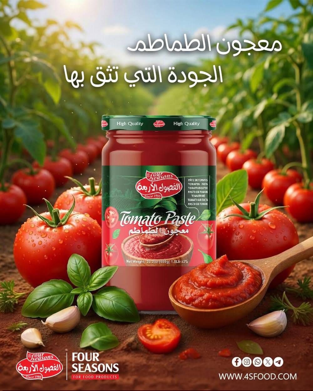 معجون طماطم 