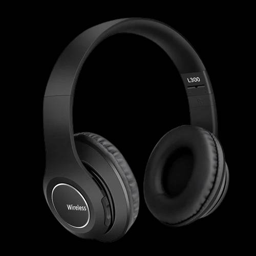 WIRELESS L300
