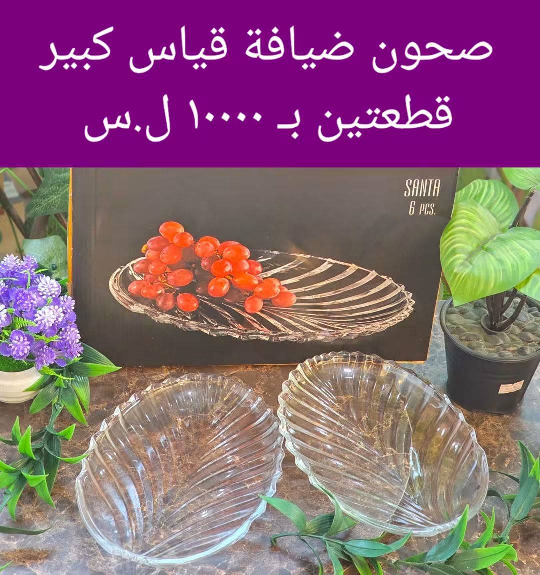 صحون ضيافه قطعتين