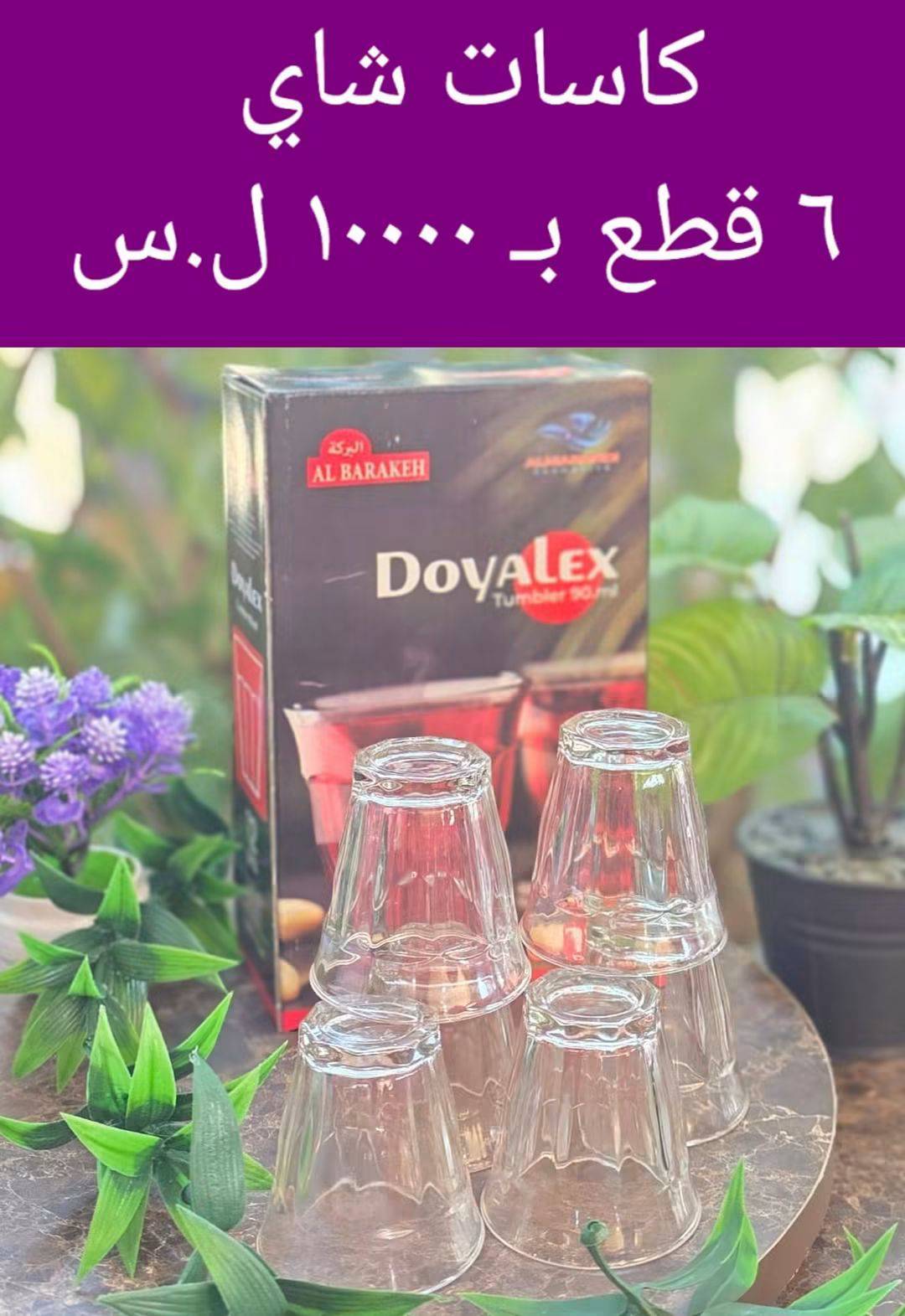 كاسات شاي 