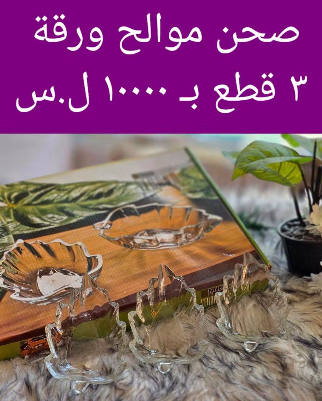 صحون موالح ورقة