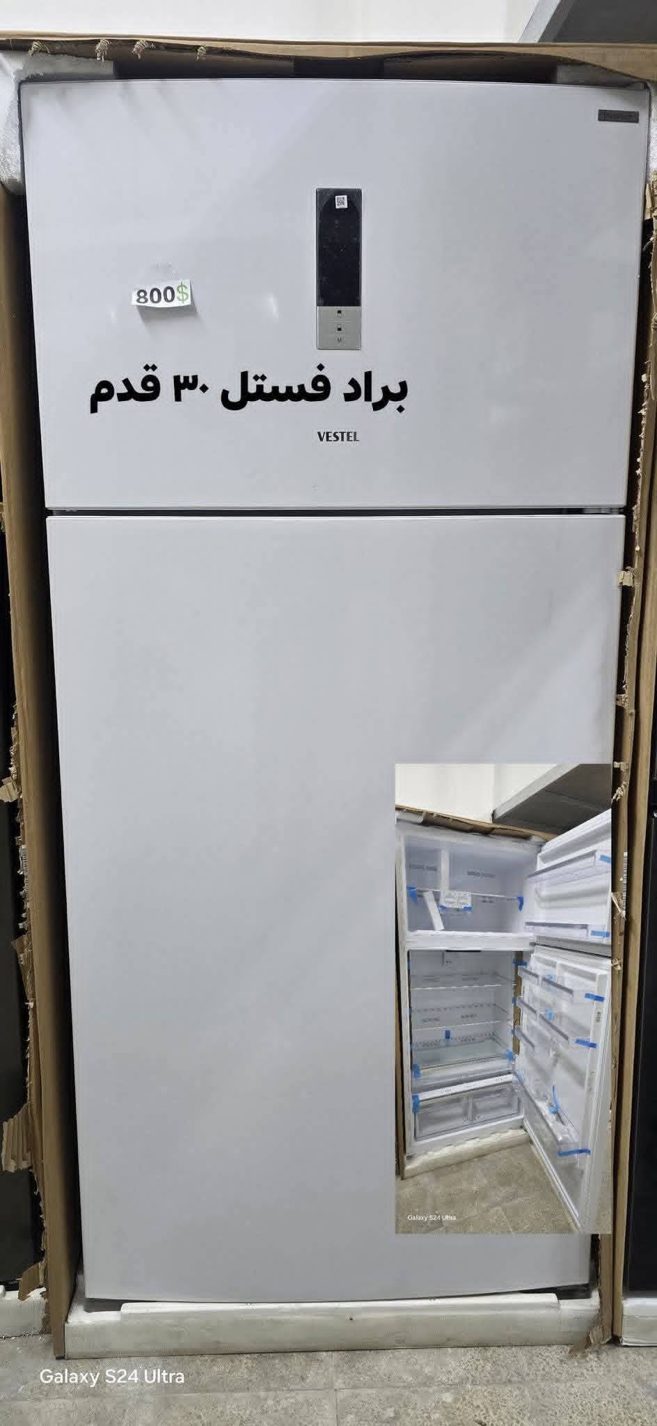 براد فستل 