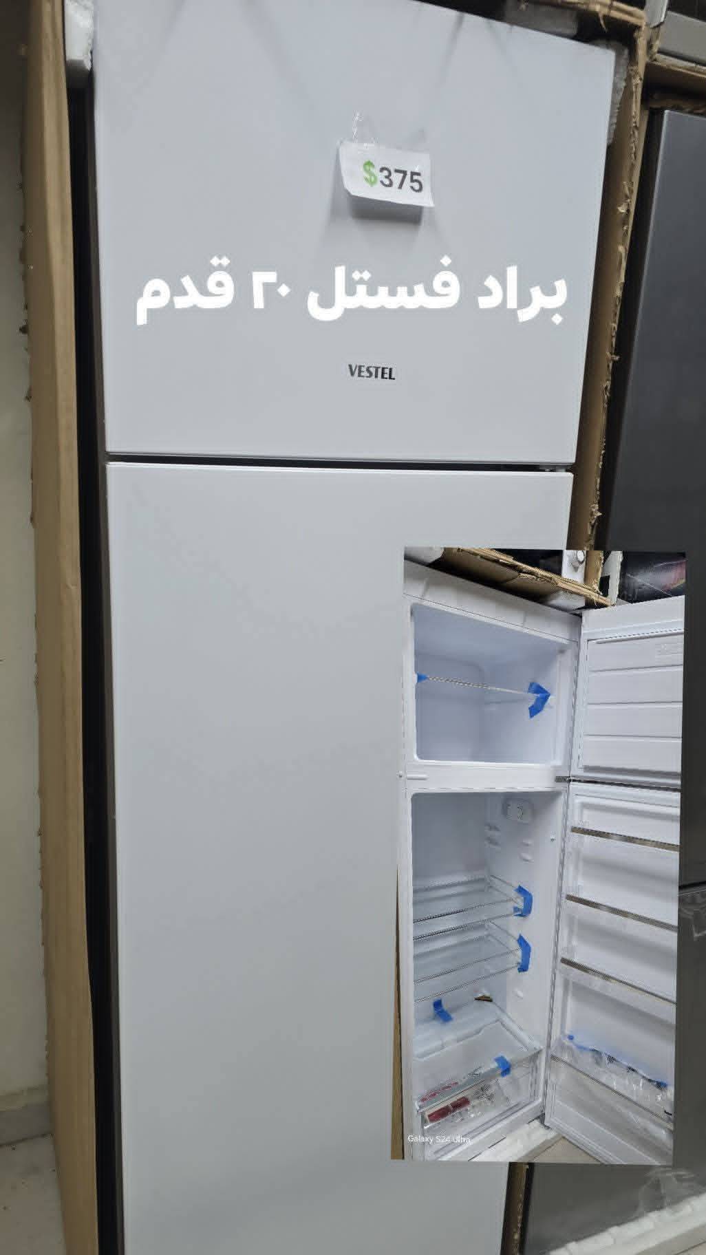 براد فستل 