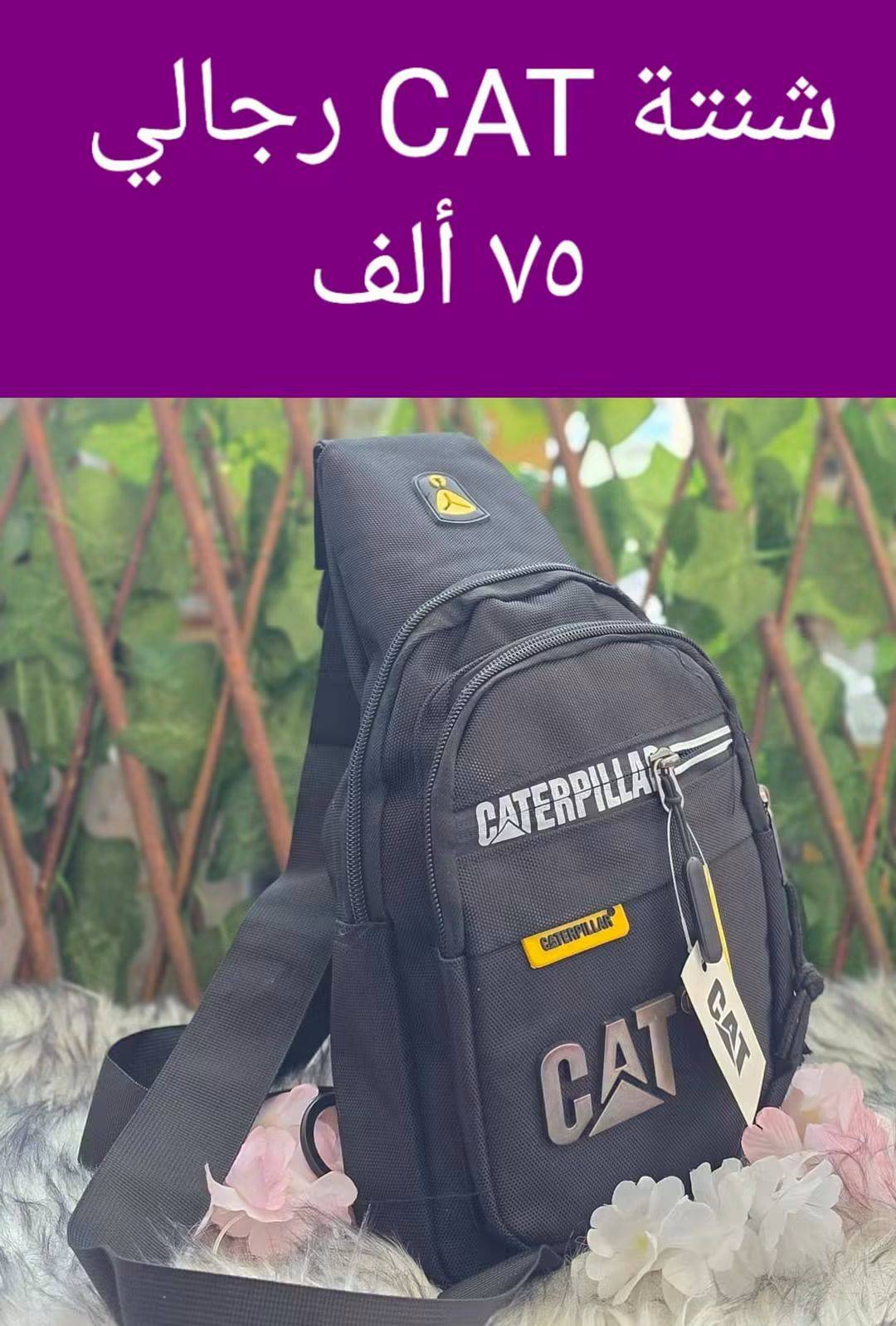 شنتة Cat رجالي