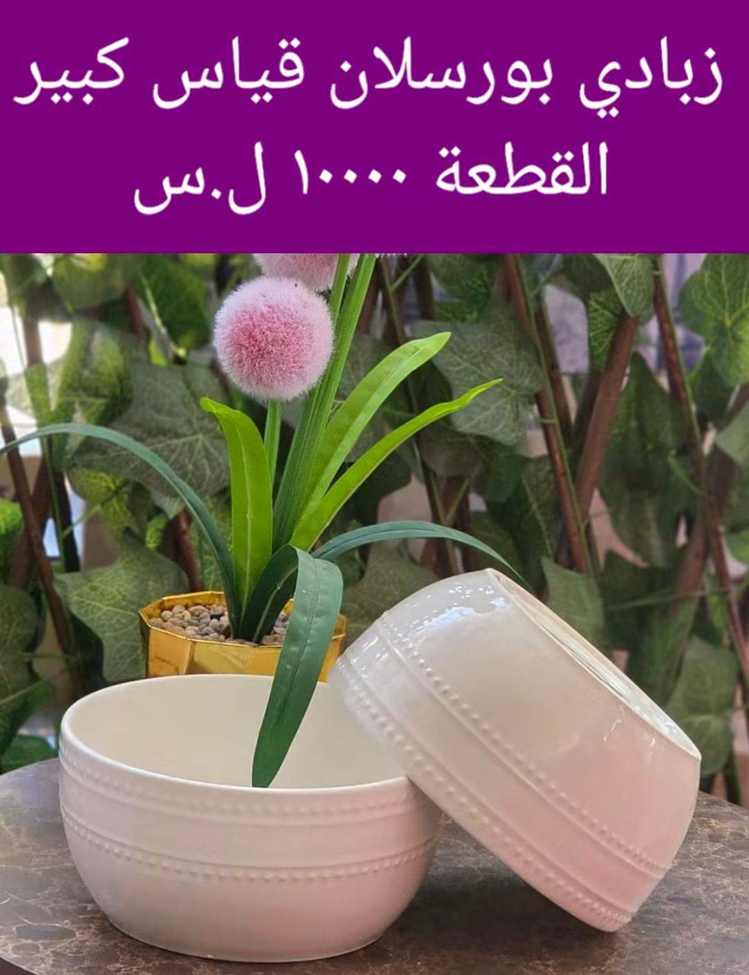 زبادي بورسلان 