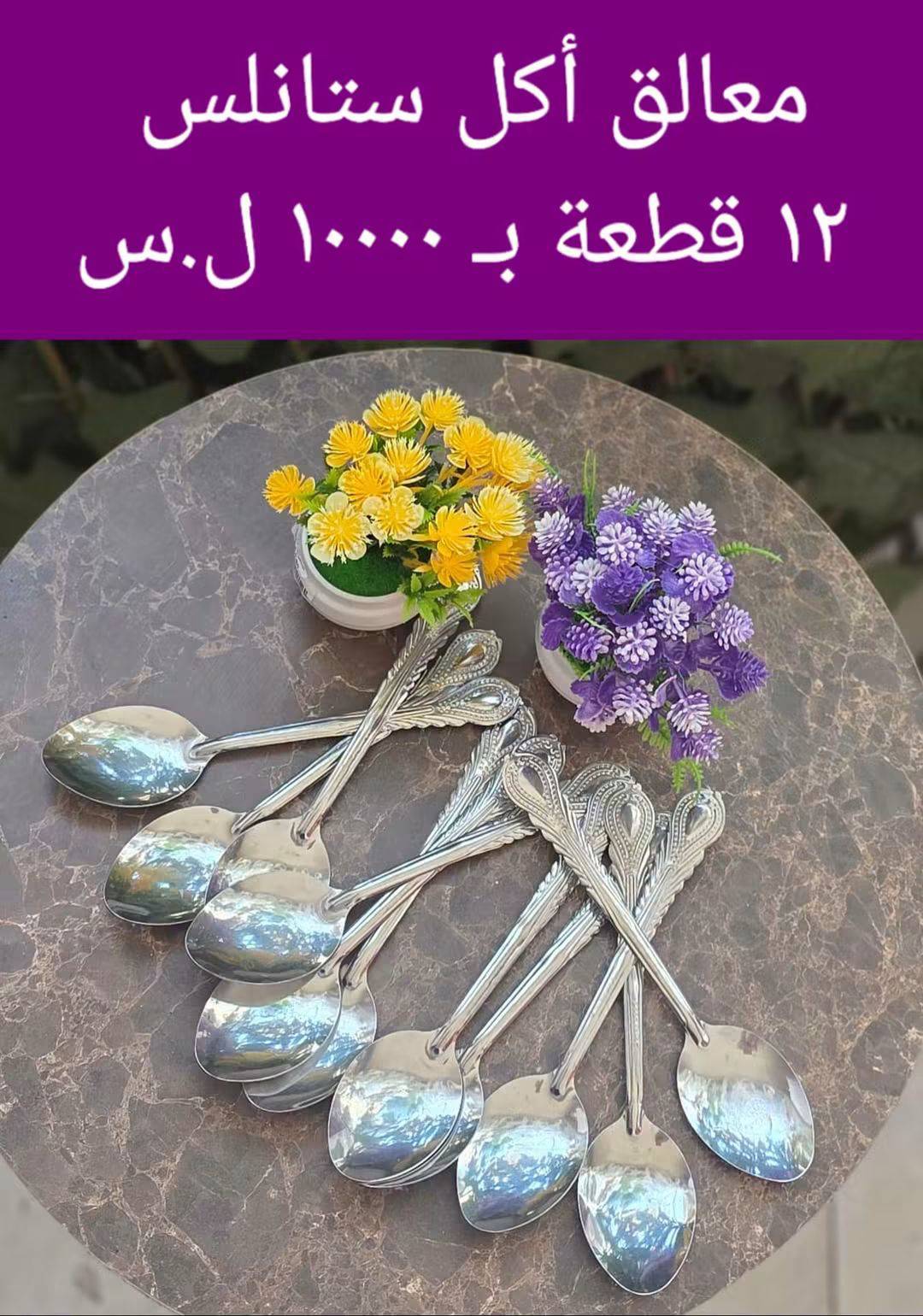 معالق اكل ستانلس