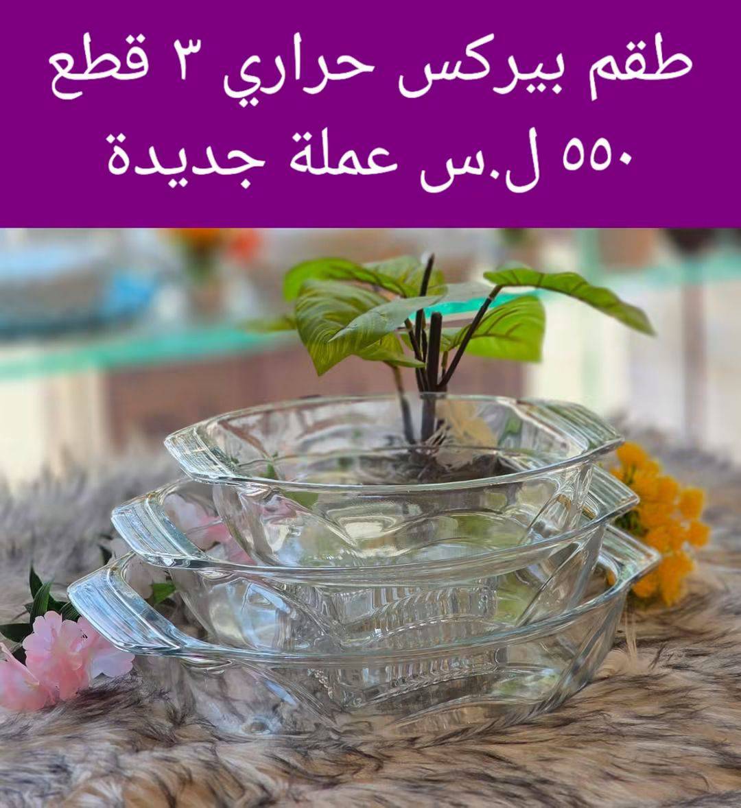 طقم بيركس حراري 