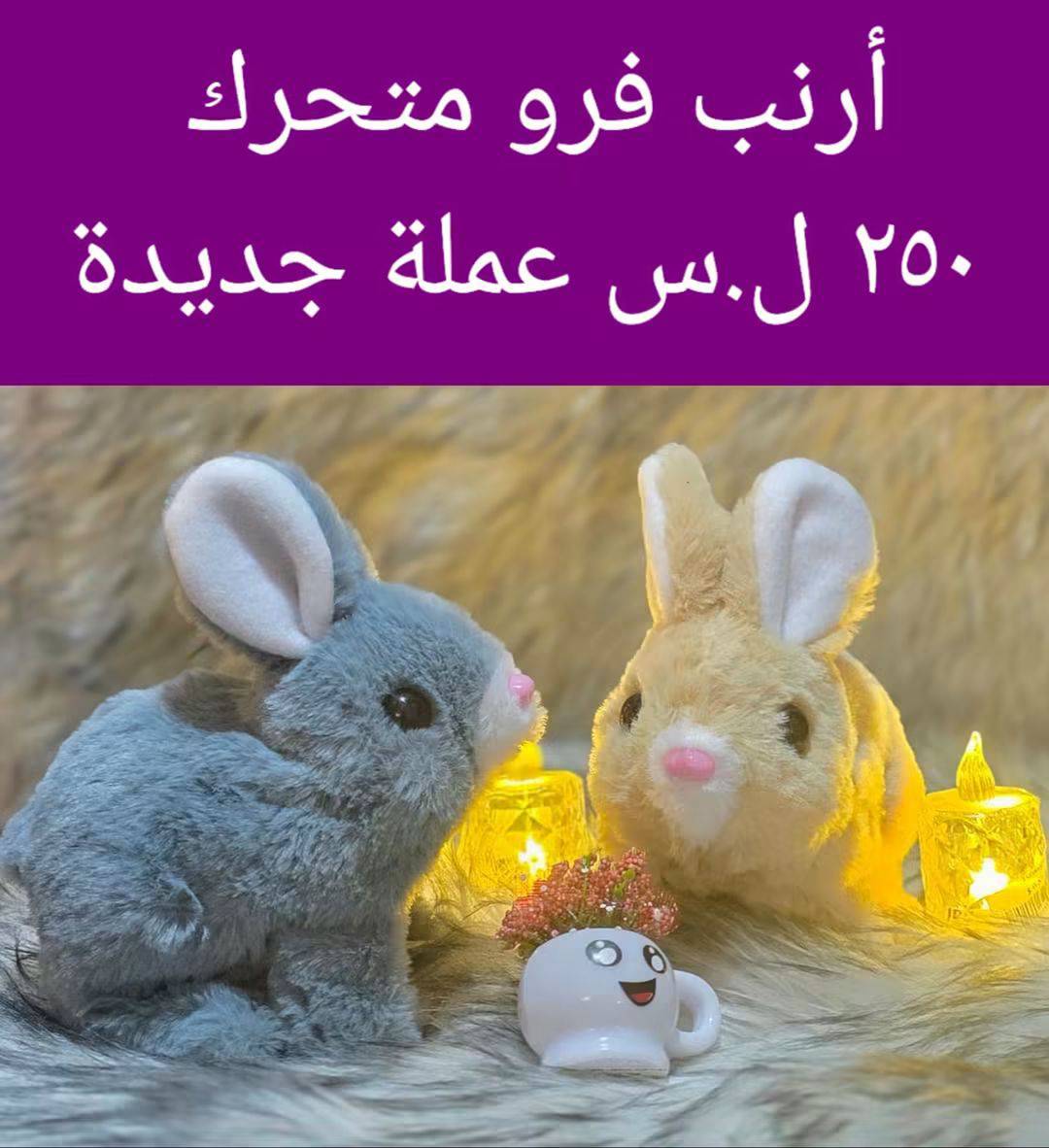 ارنب فرو 