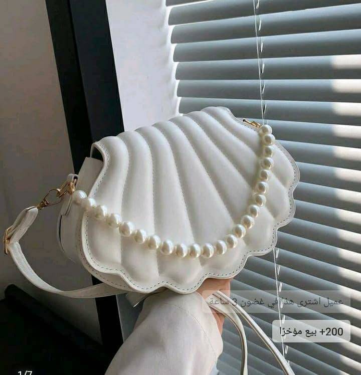 حقيبة