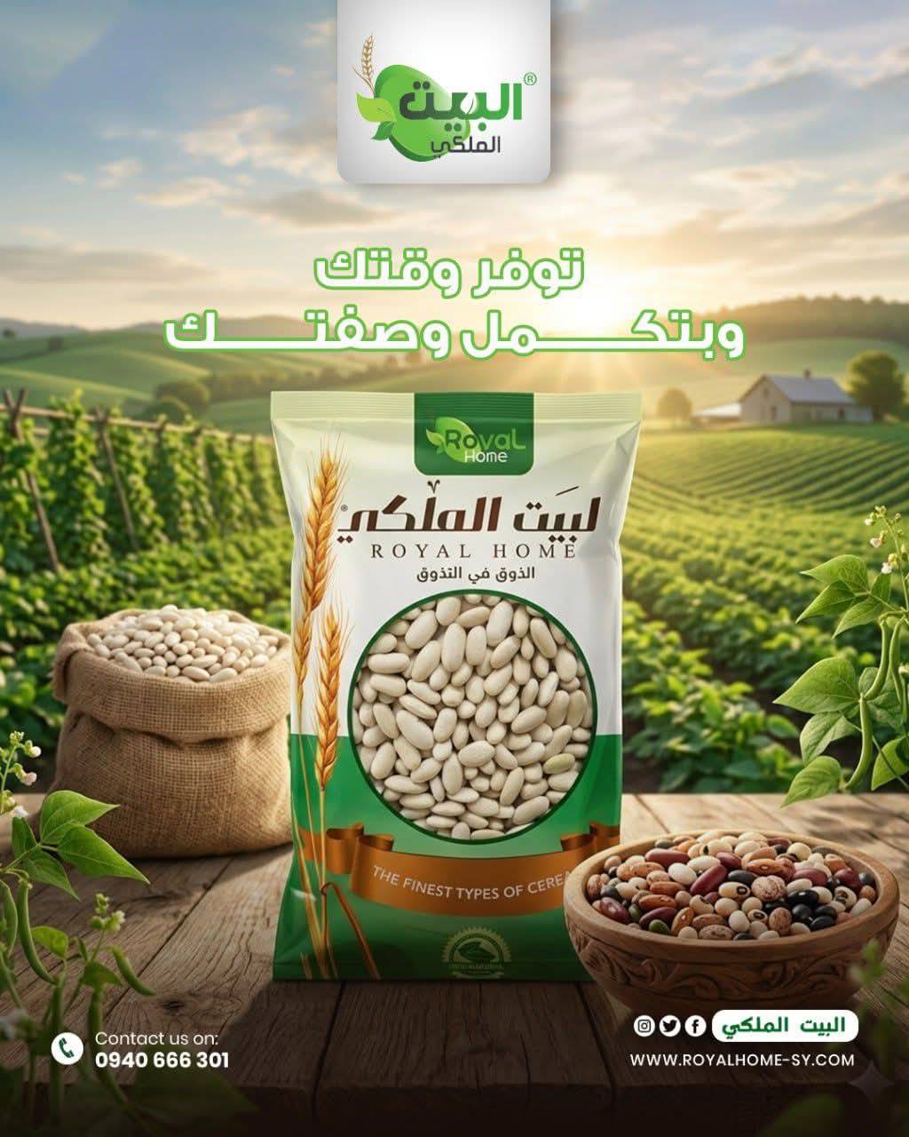 فاصولياء 