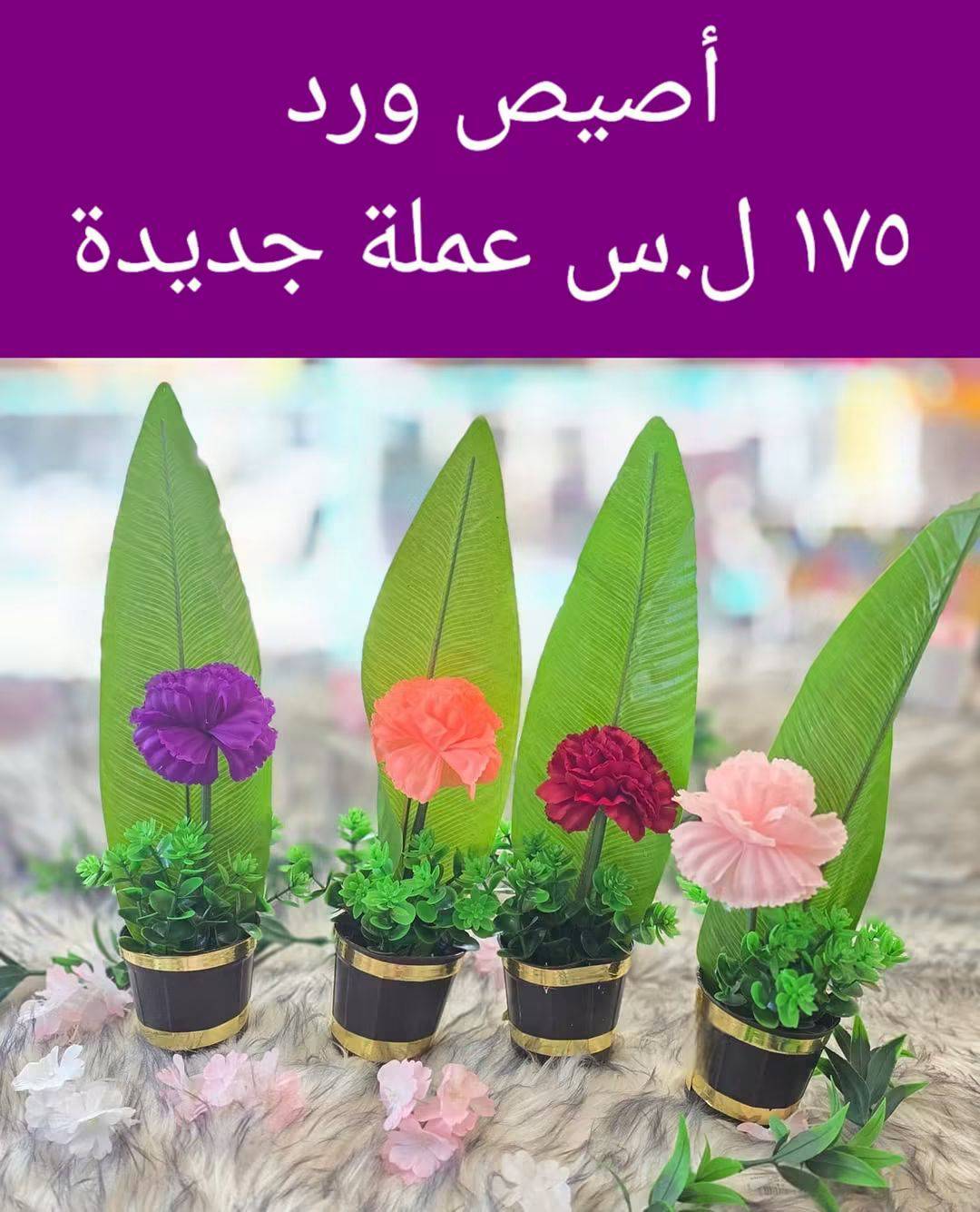 اصيص ورد 