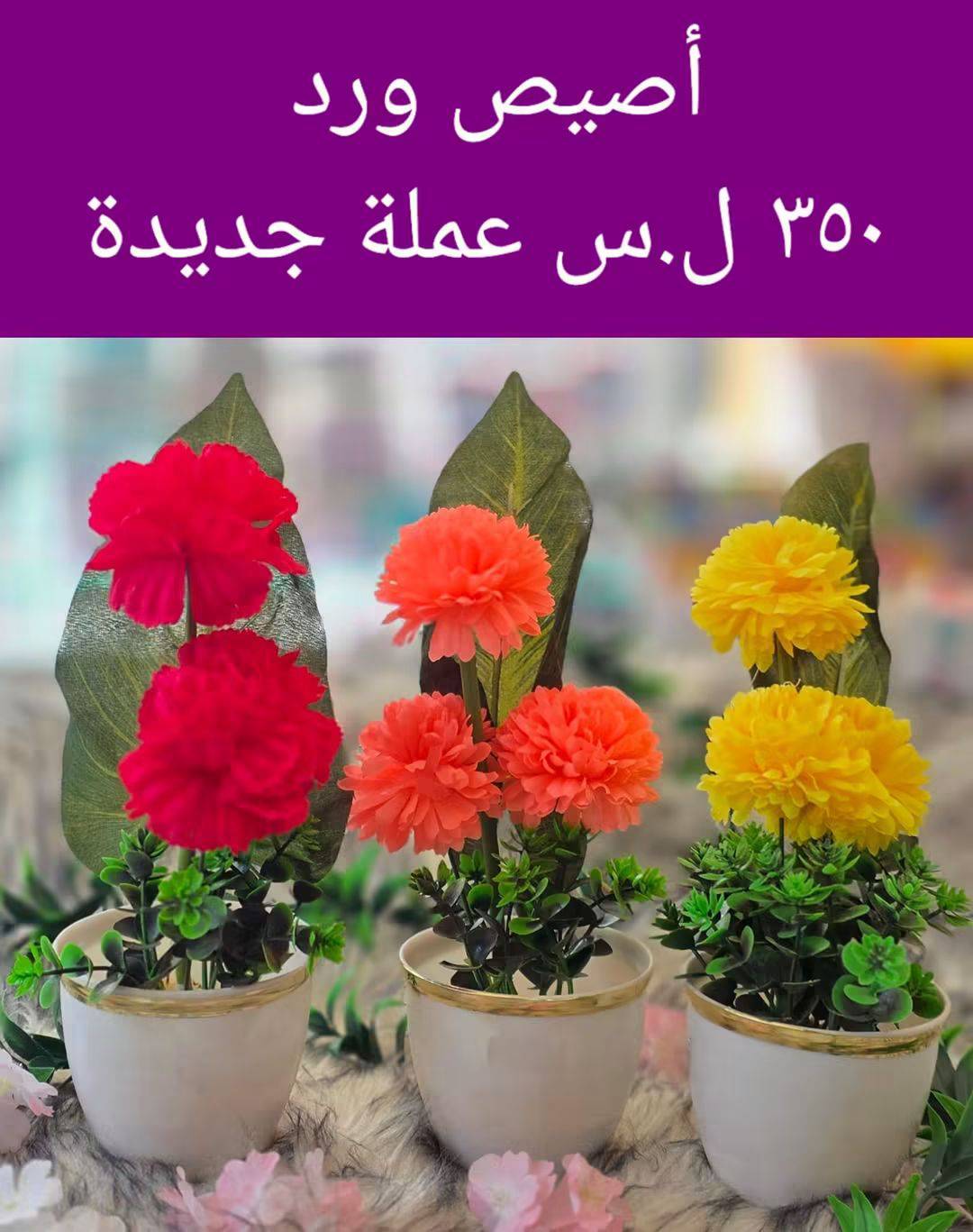 اصيص ورد 