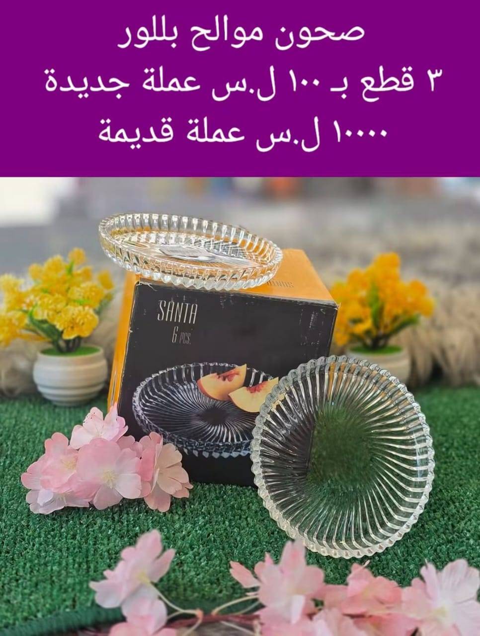 صحون موالح 