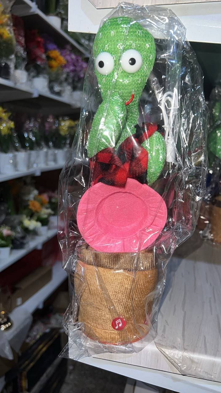 صبارة