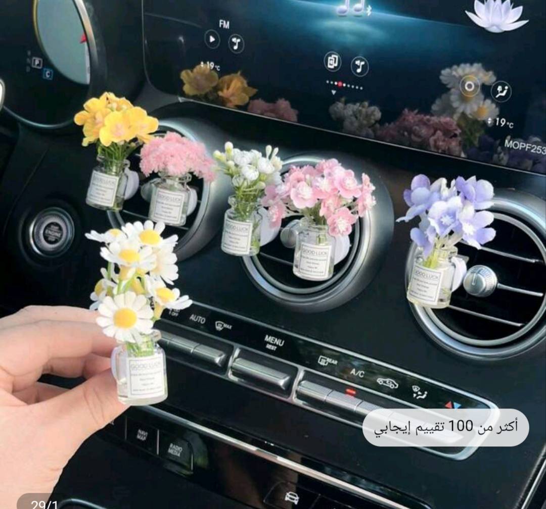 اكسسوار سيارة 