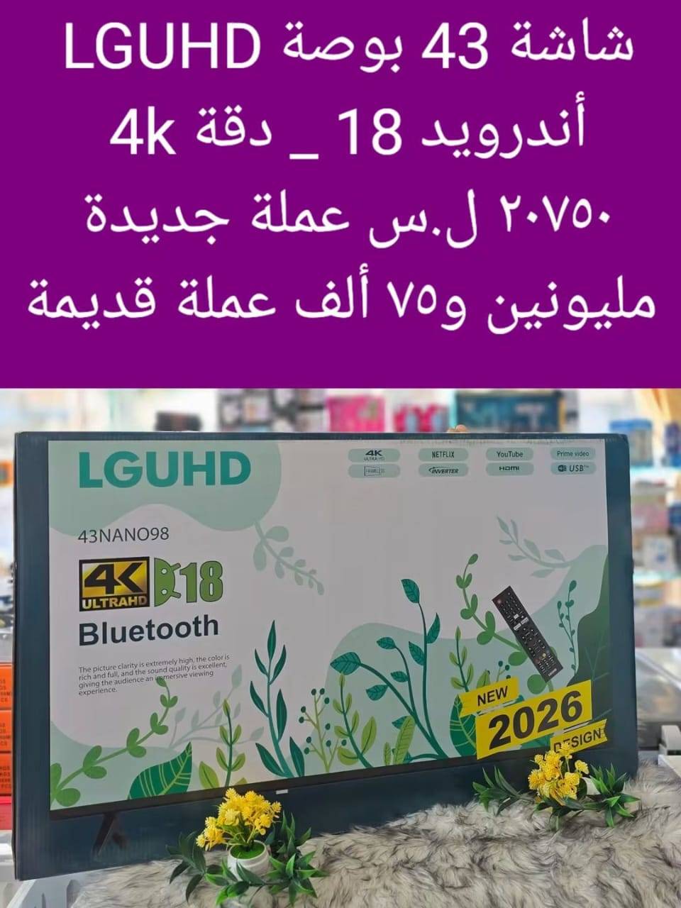 شاشة 