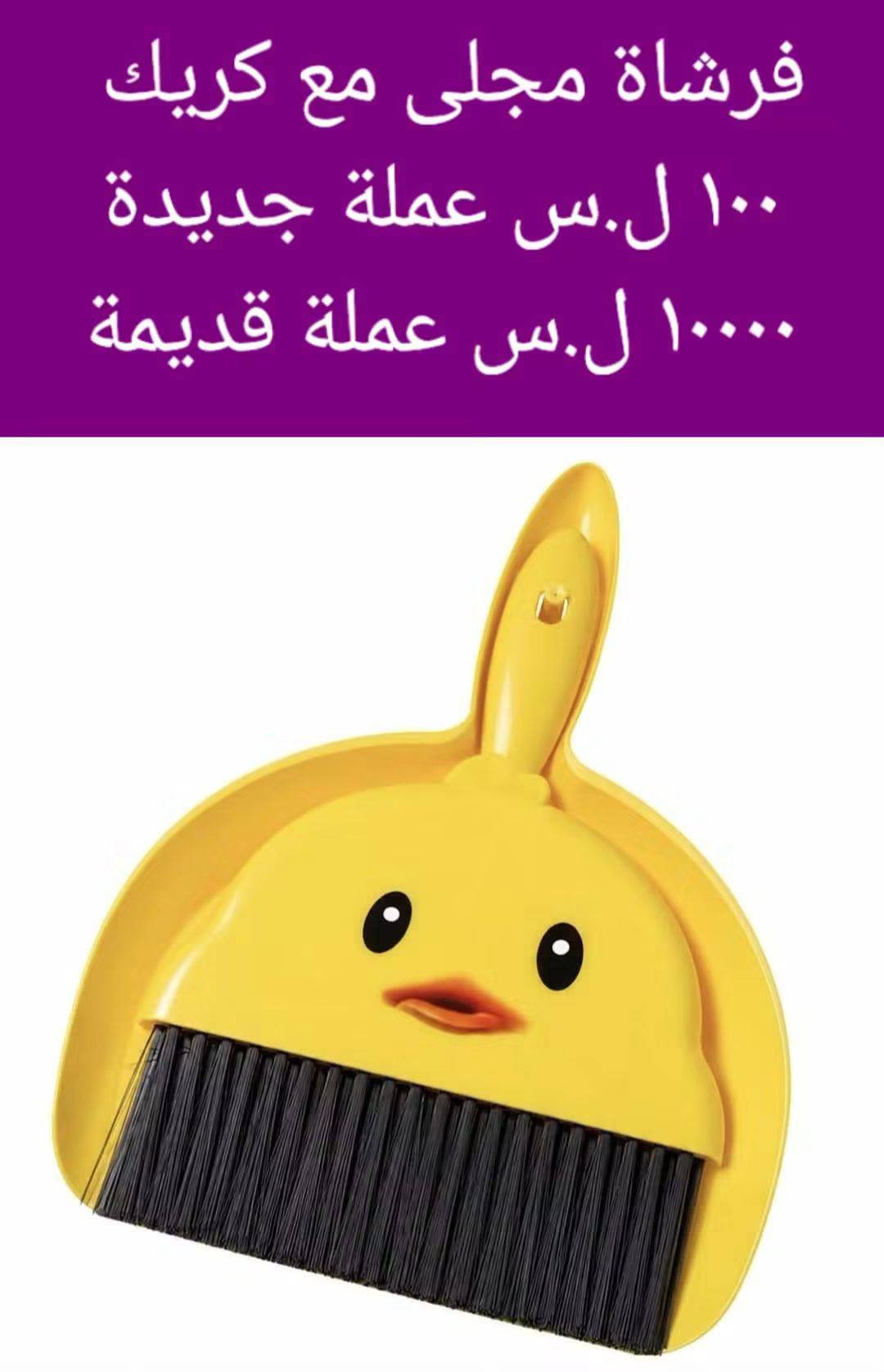 فرشاة مجلى