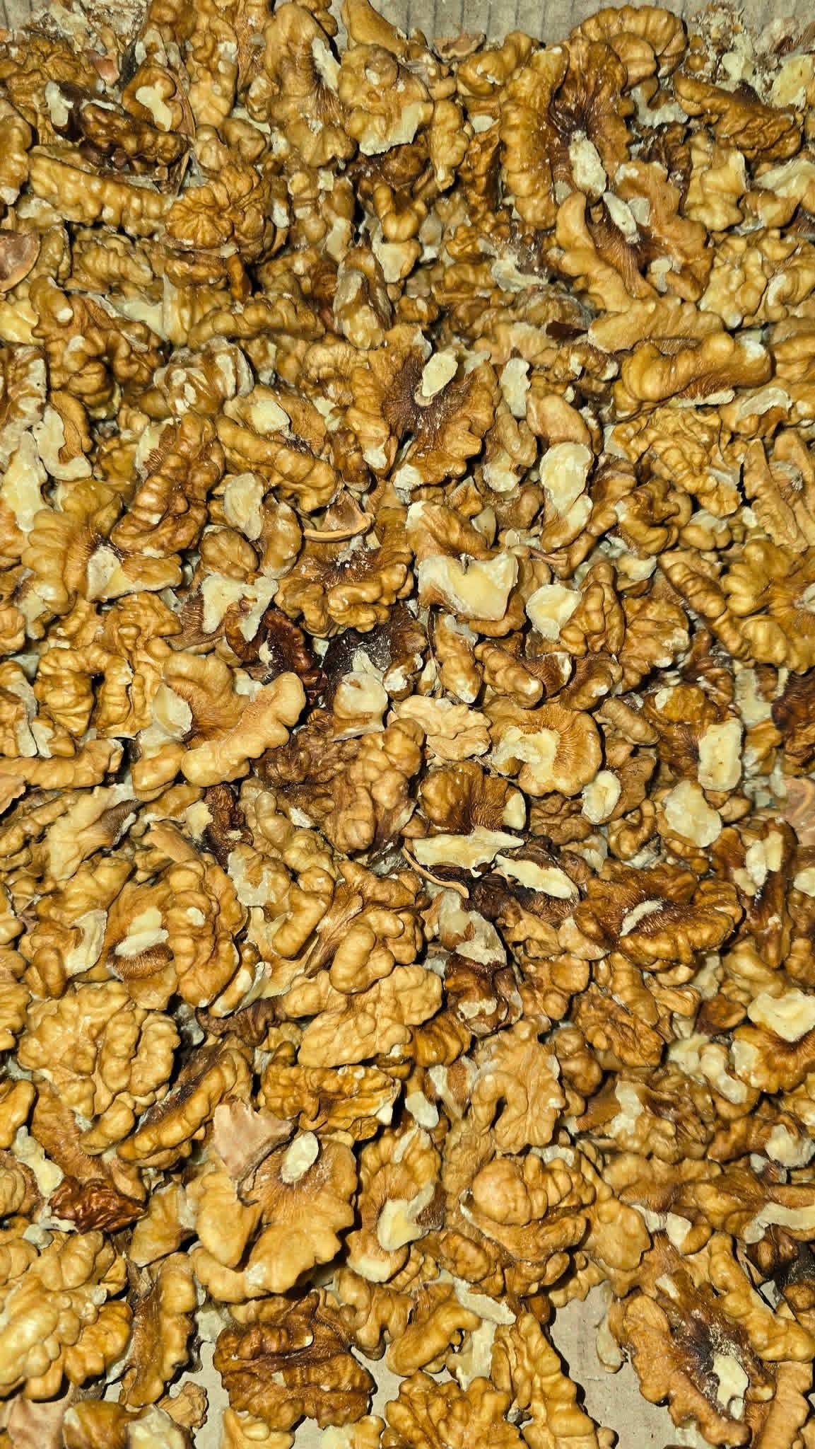 جوز 