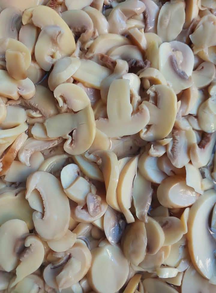 فطر