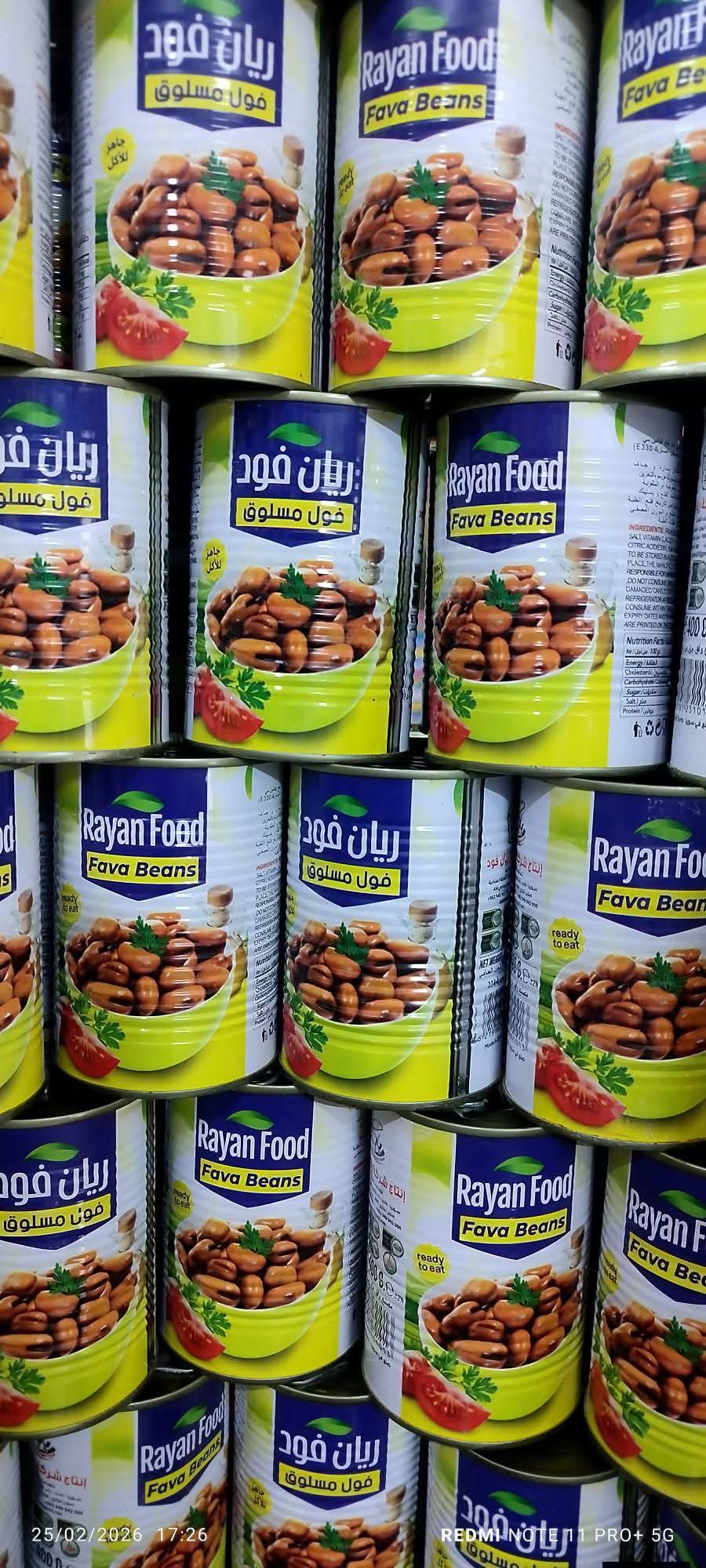 فول معلب 