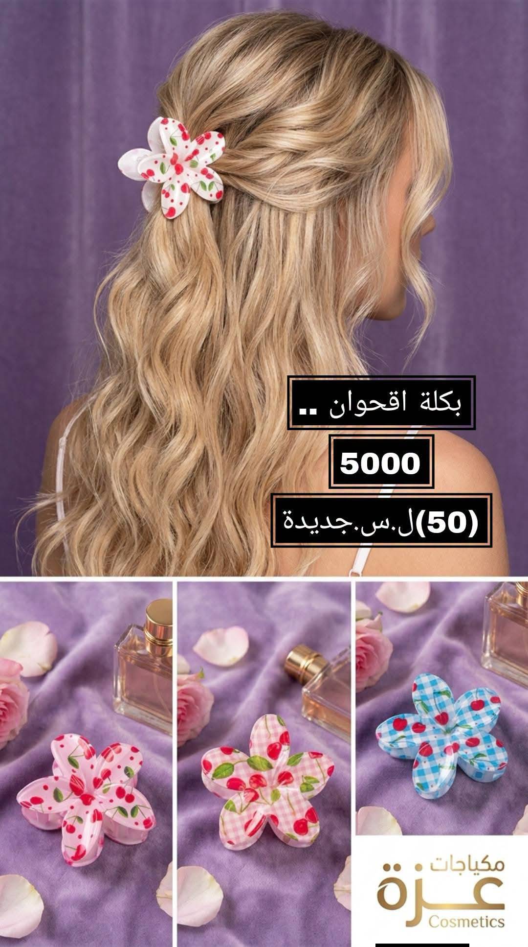 بكلة اقحوان 