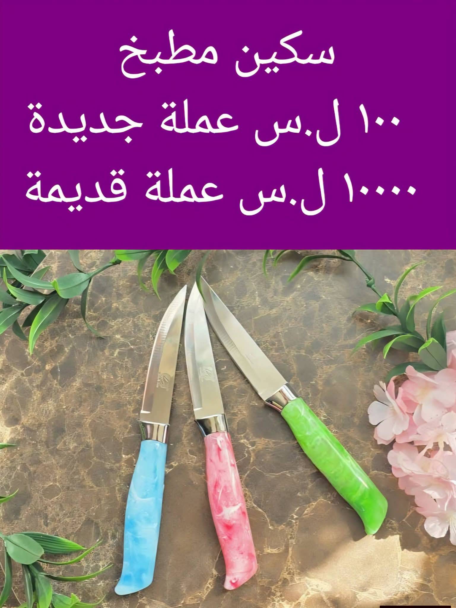 سكين مطبخ 