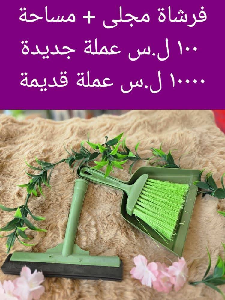 فرشاة ومساحة مجلى 