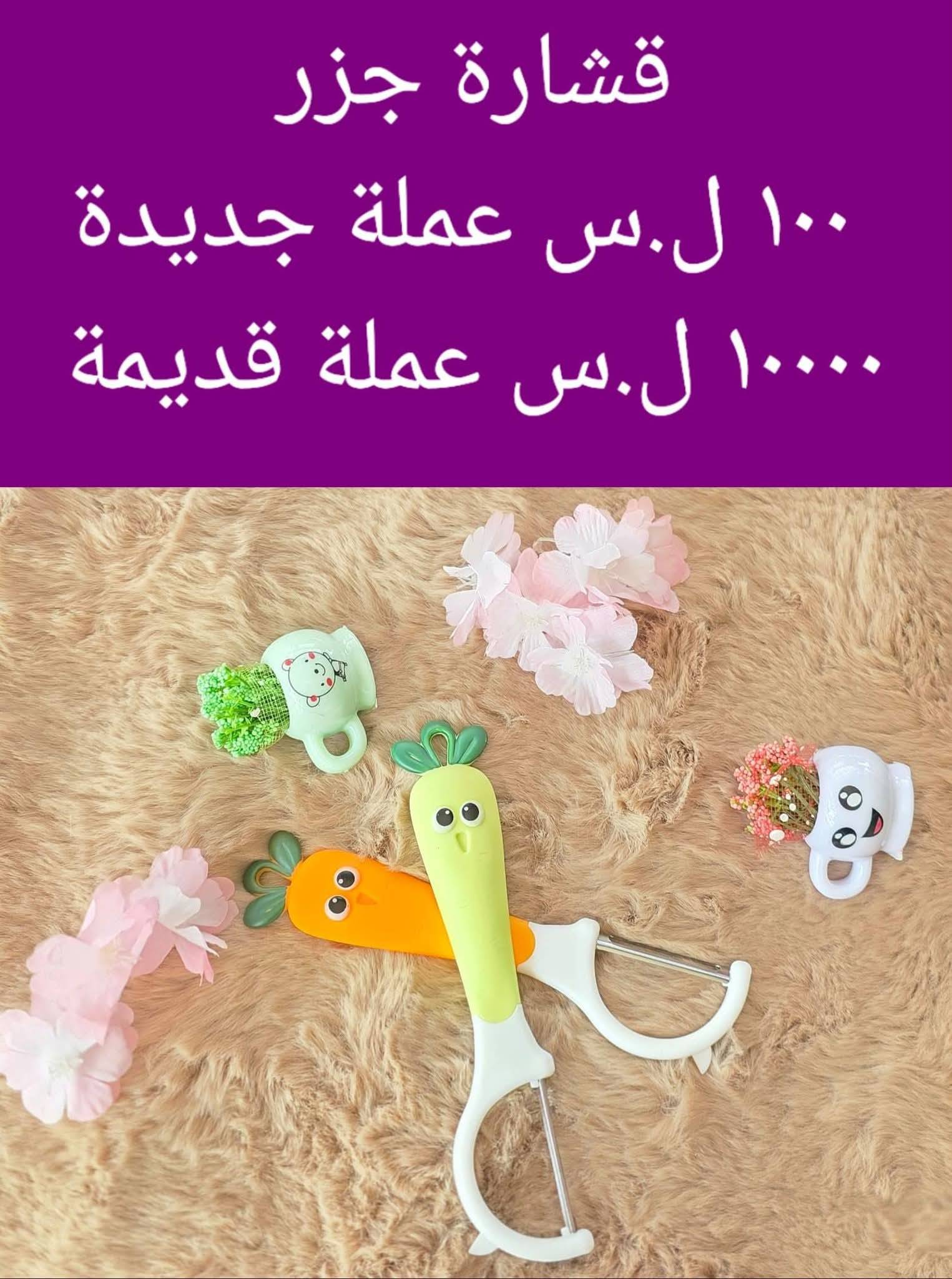 قشارة جزر