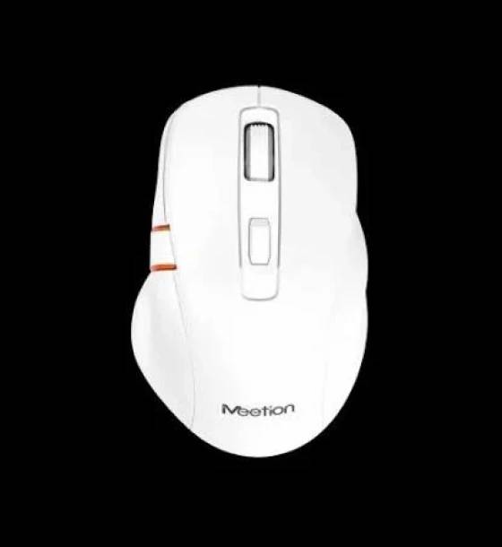 Mouse BTM 032