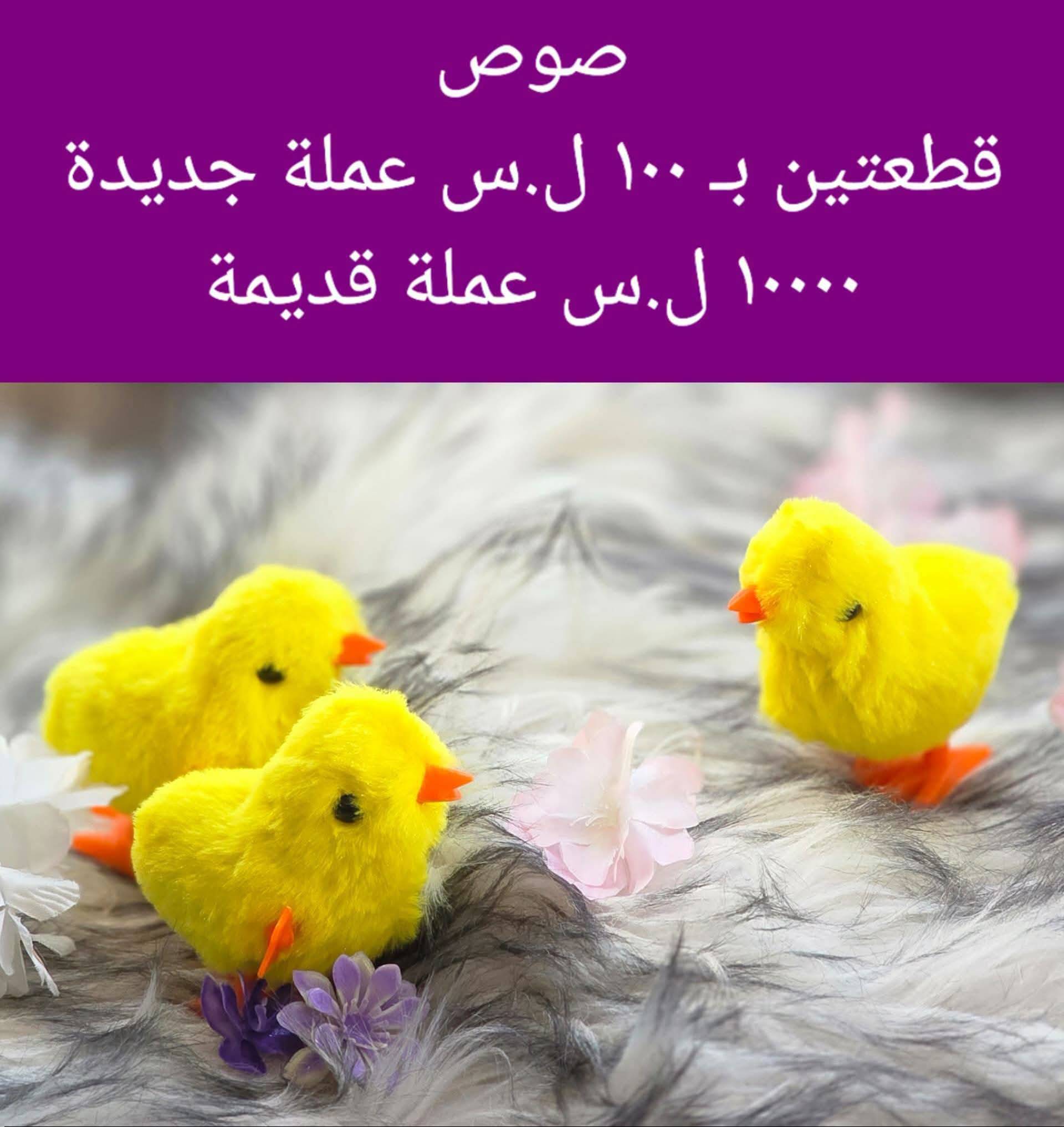 صوص متحرك