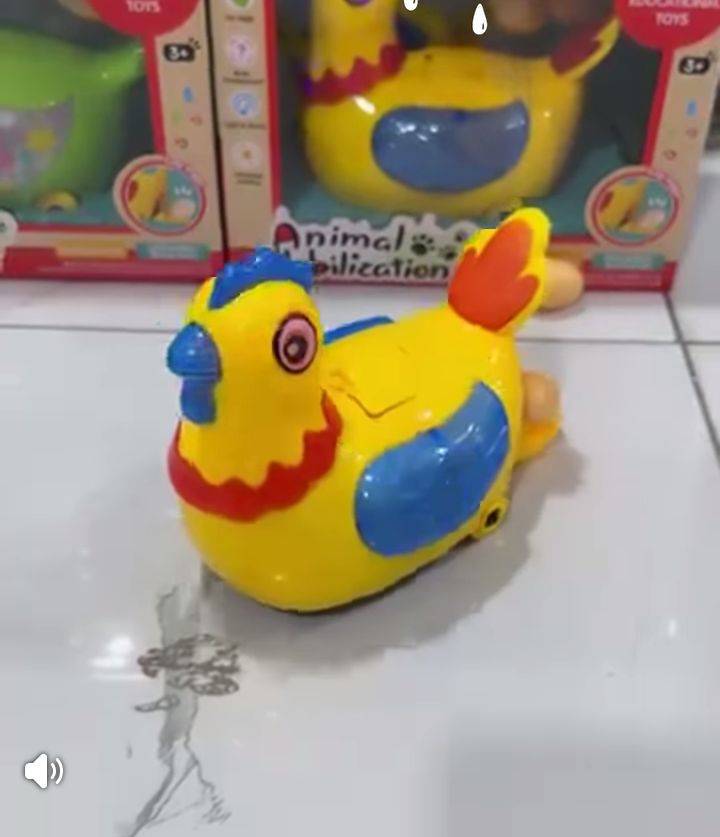 لعبة الدجاجة 