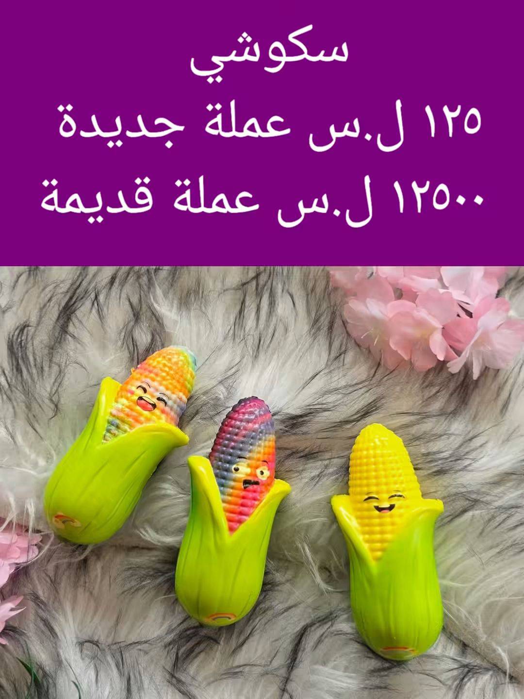 سكوشي 