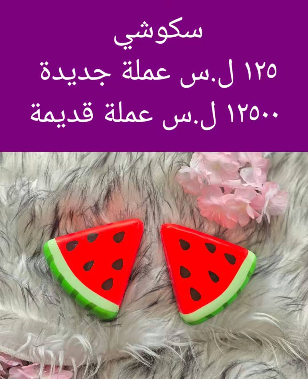سكوشي 
