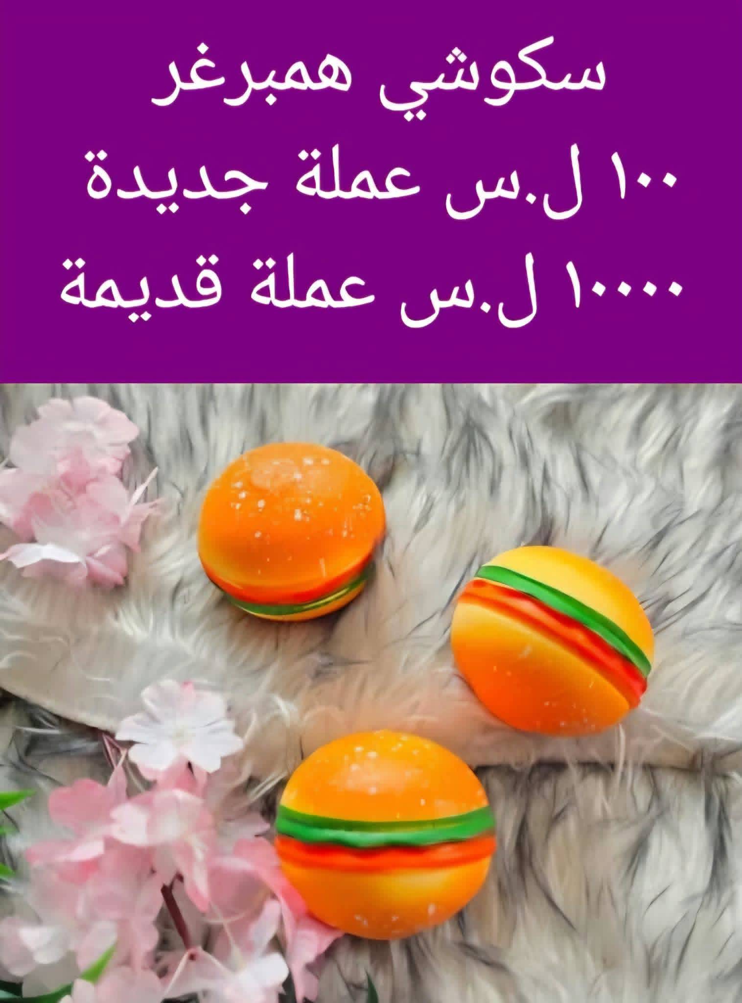 سكوشي همبرغر 