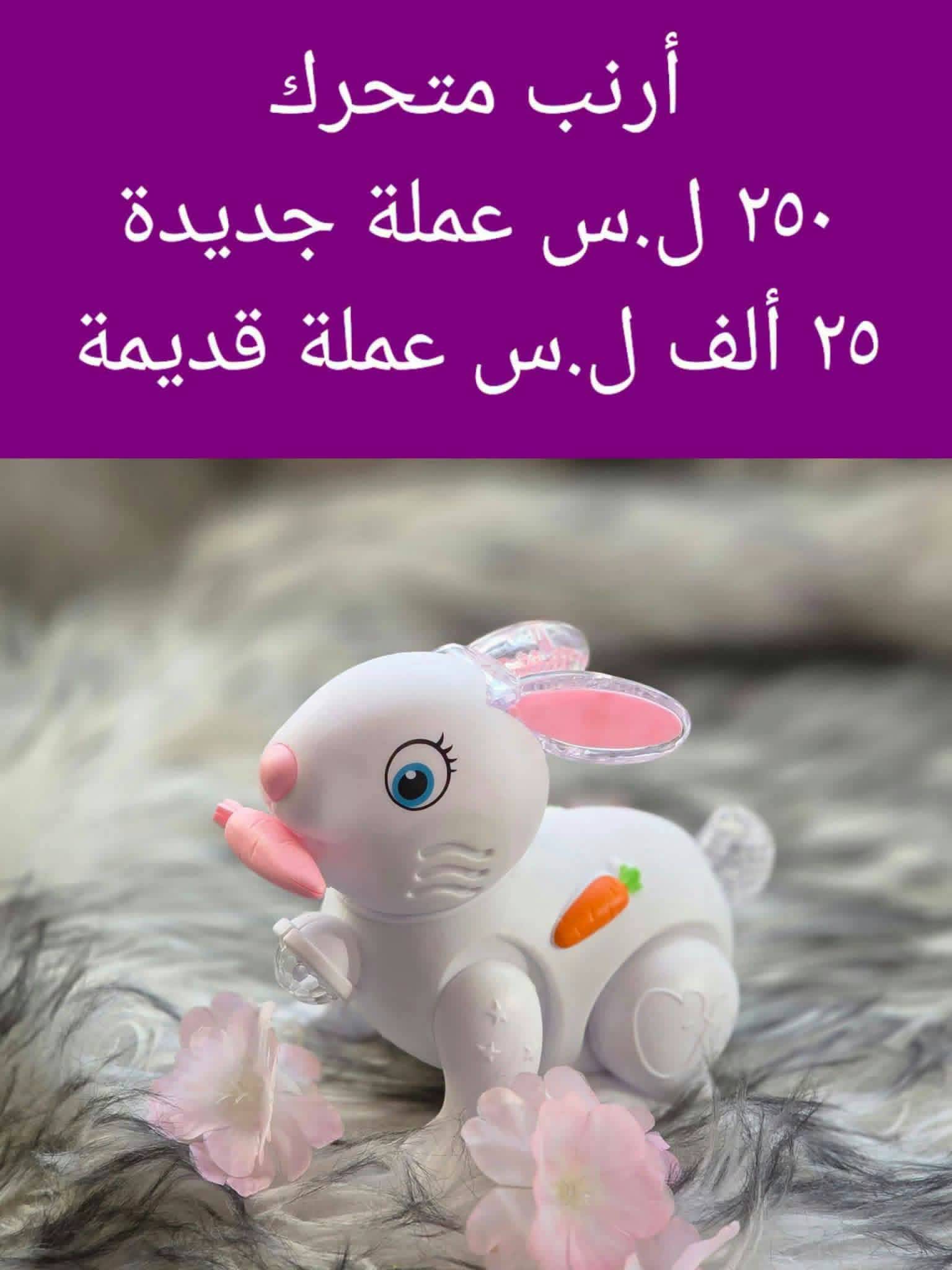 ارنب متحرك 
