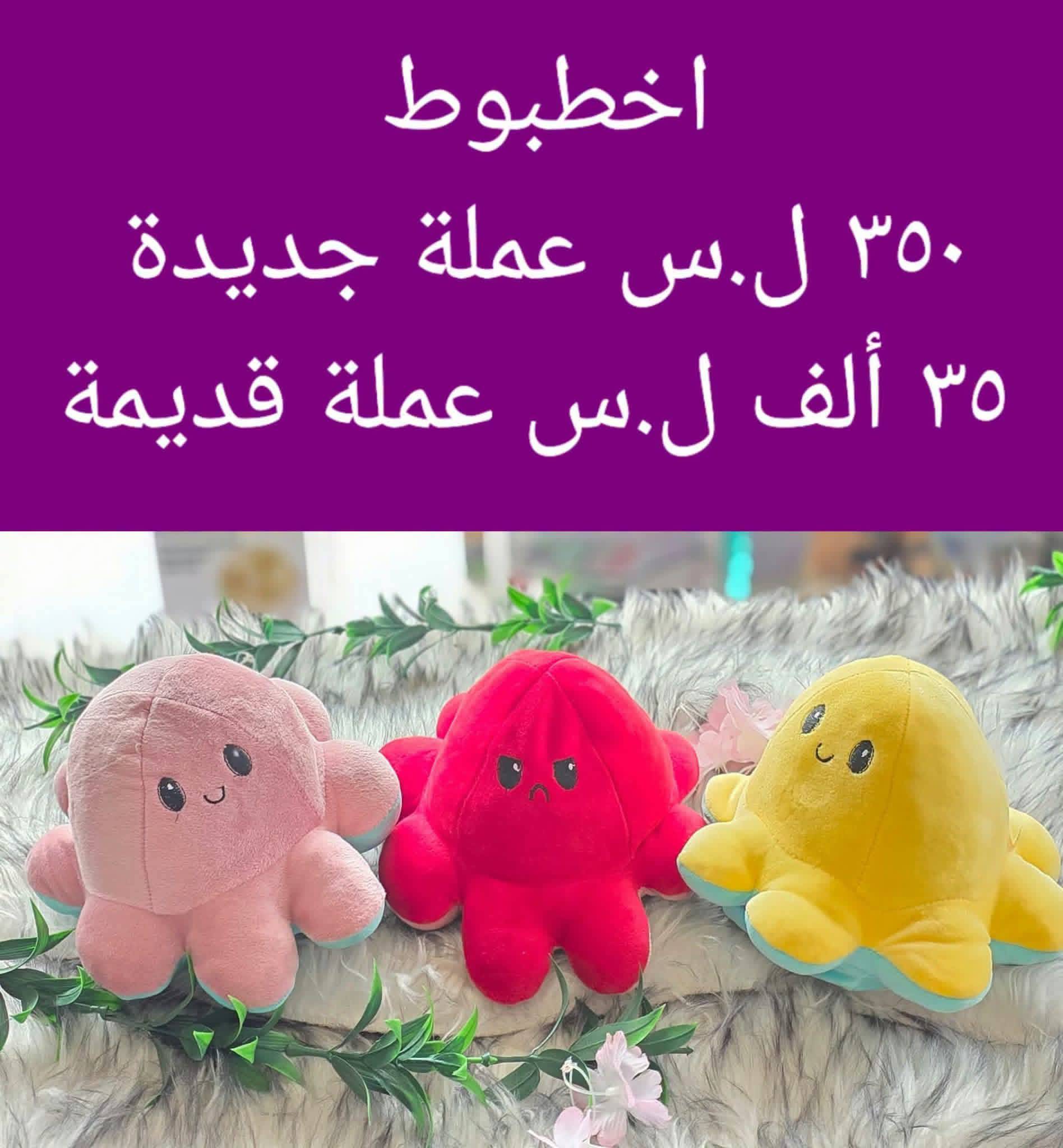 أخطبوط 