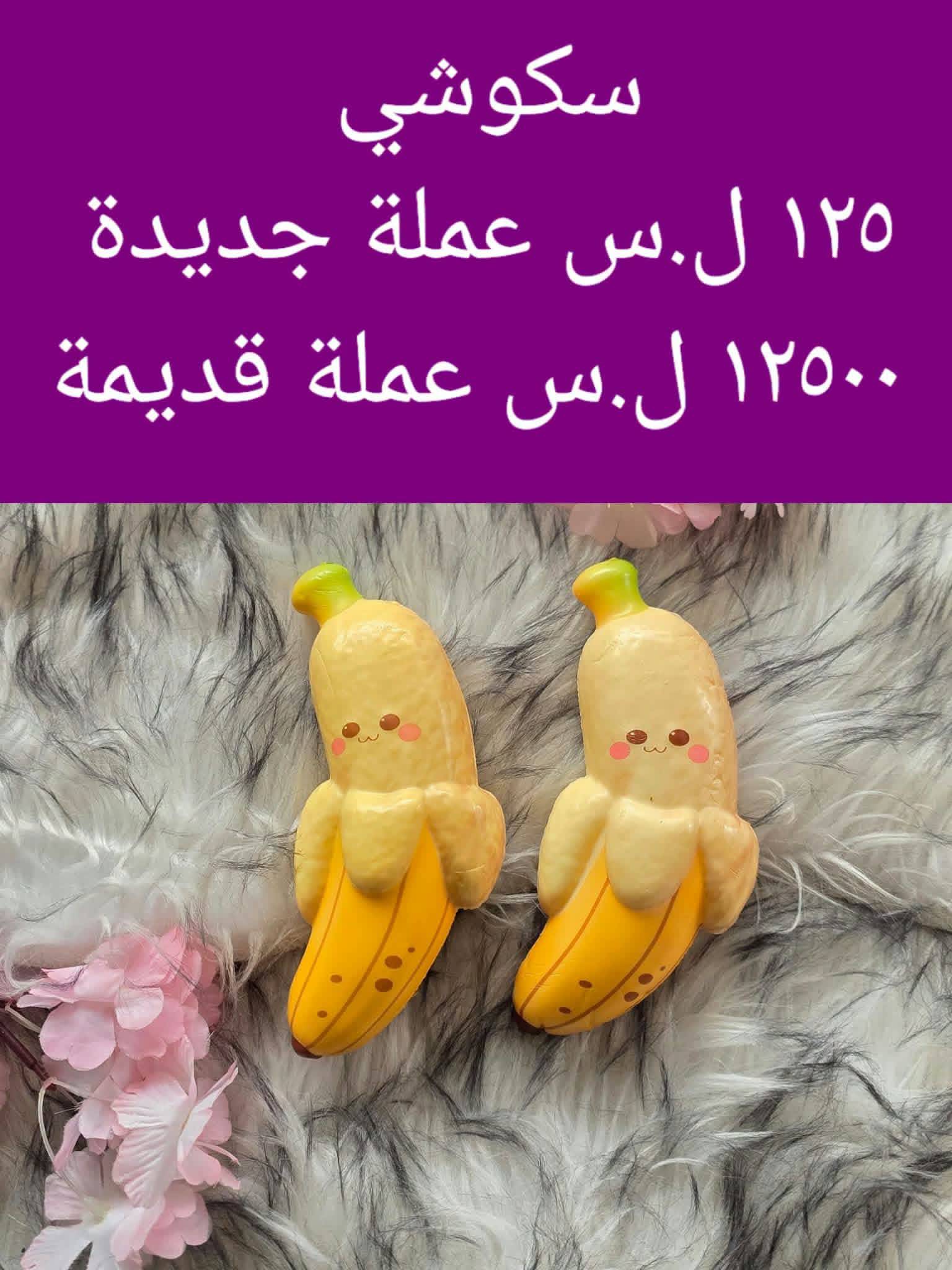 سكوشي 