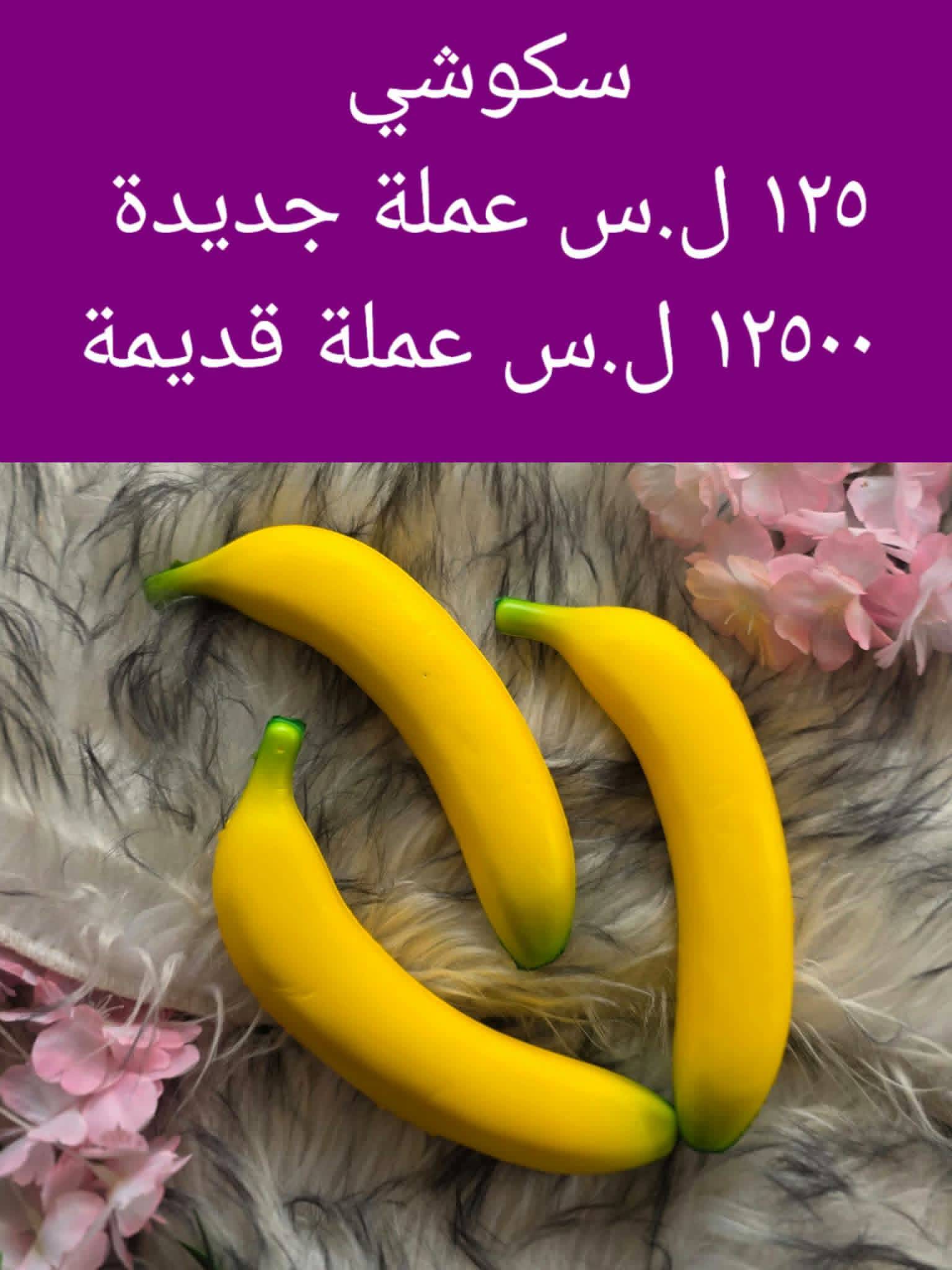 سكوشي 
