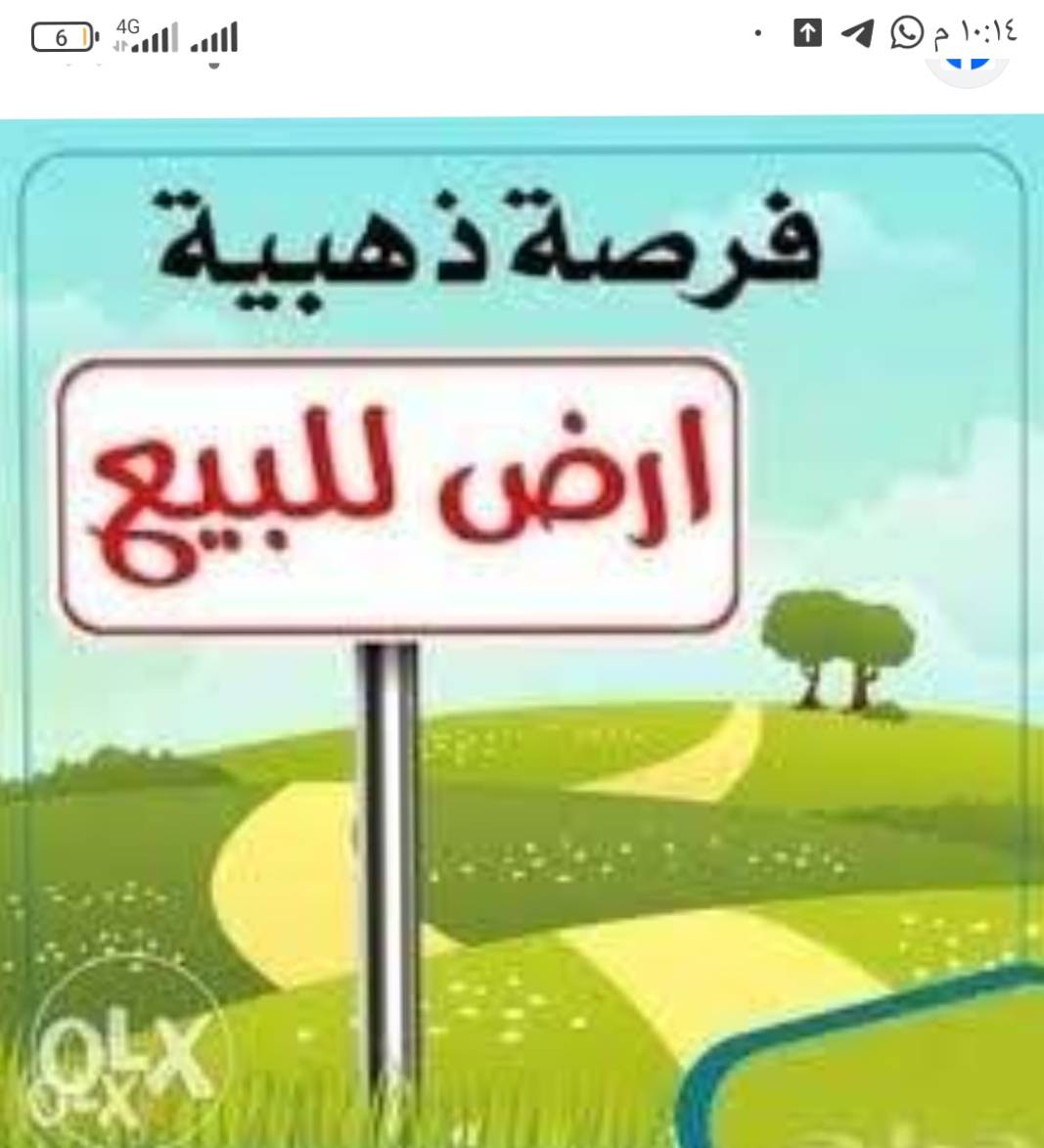 ارض للبيع في الشيخ نجار