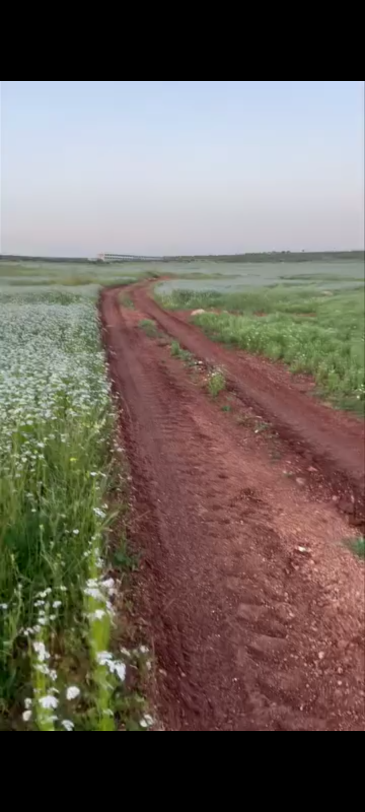 أرض زراعي