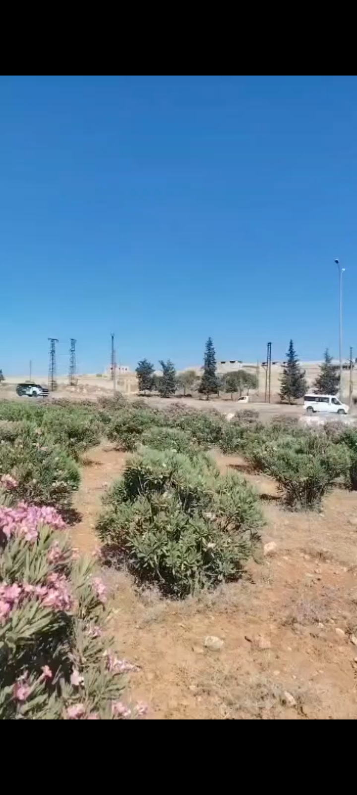 ارض