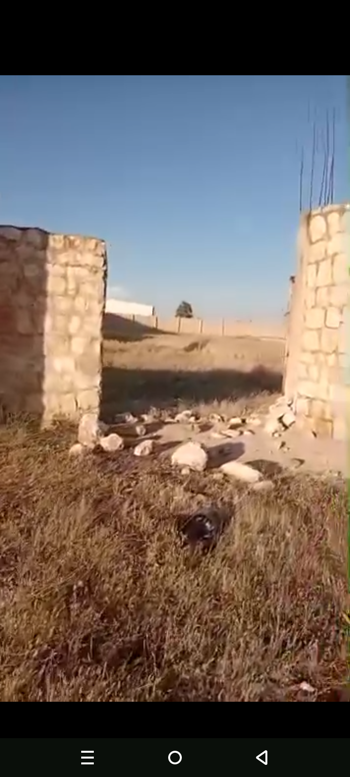 ارض
