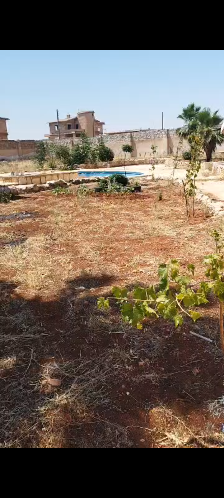 مزرعة