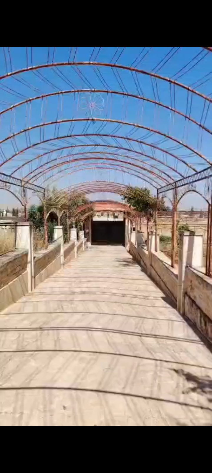 مزرعة 