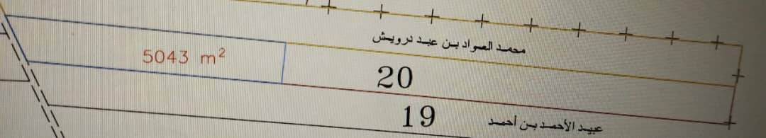 لحق حالك ارض بتراب المصاري